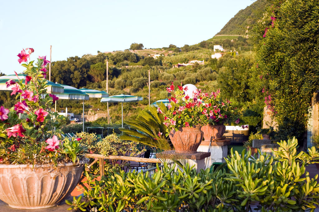 Hotel Poggio Del Sole Forio di Ischia Restaurante foto