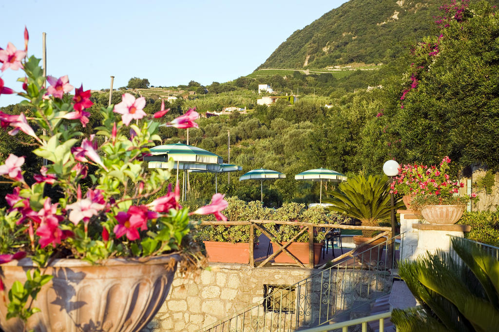 Hotel Poggio Del Sole Forio di Ischia Exterior foto